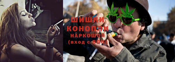 СК Инсар