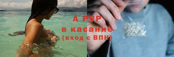твердый Инта