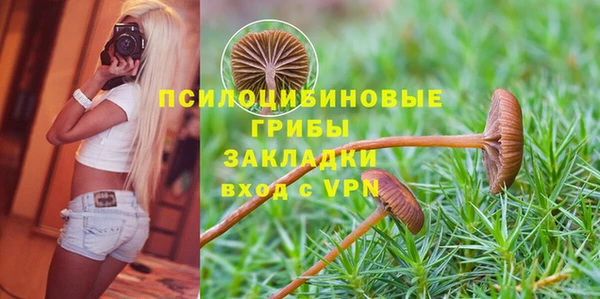 твердый Инта