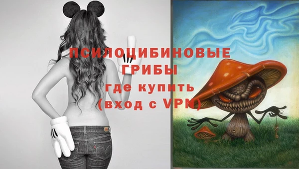 СК Инсар
