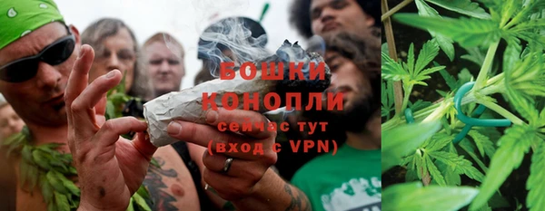 молекула духа Магадан