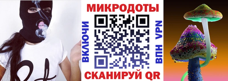 купить закладку  Камень-на-Оби  Псилоцибиновые грибы мухоморы 